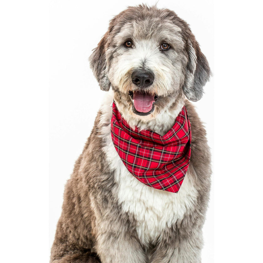 Holiday Neckwear, Plaid