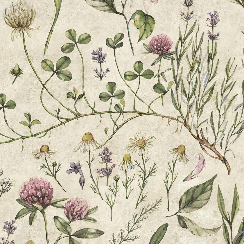 Vintage Illustration Wallpaper
