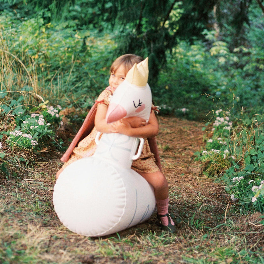 Bouncing Friends | Tiger & Swan (2 Pack) PRE-ORDER 10.27 DELIVERY