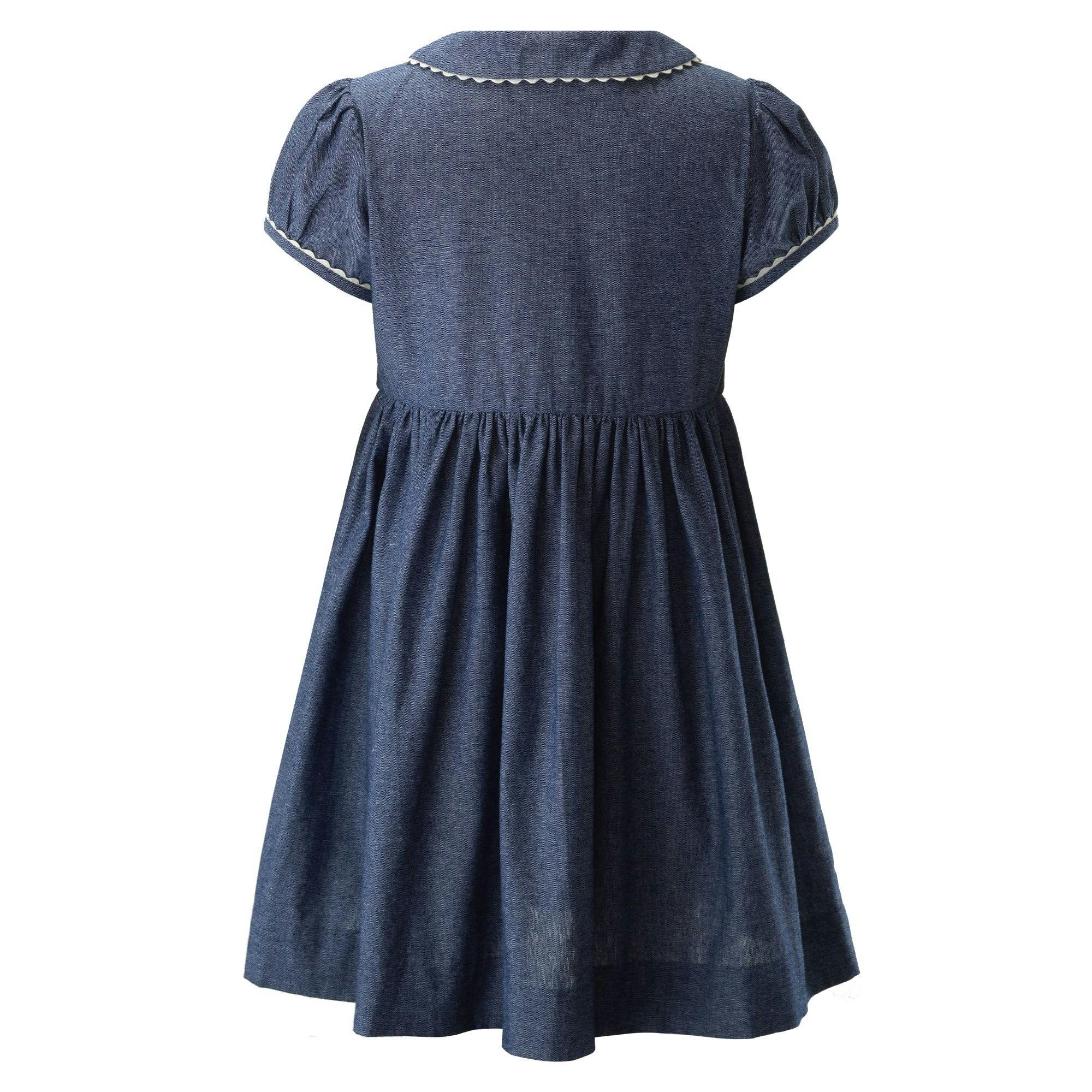 Chambray Button-Front Dress