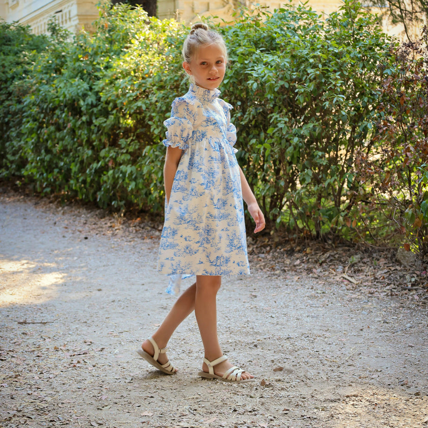 Aoki Blue Toile Dress | Short Sleeve