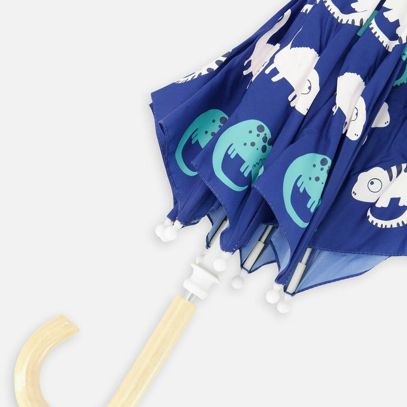 Color-Changing Umbrella