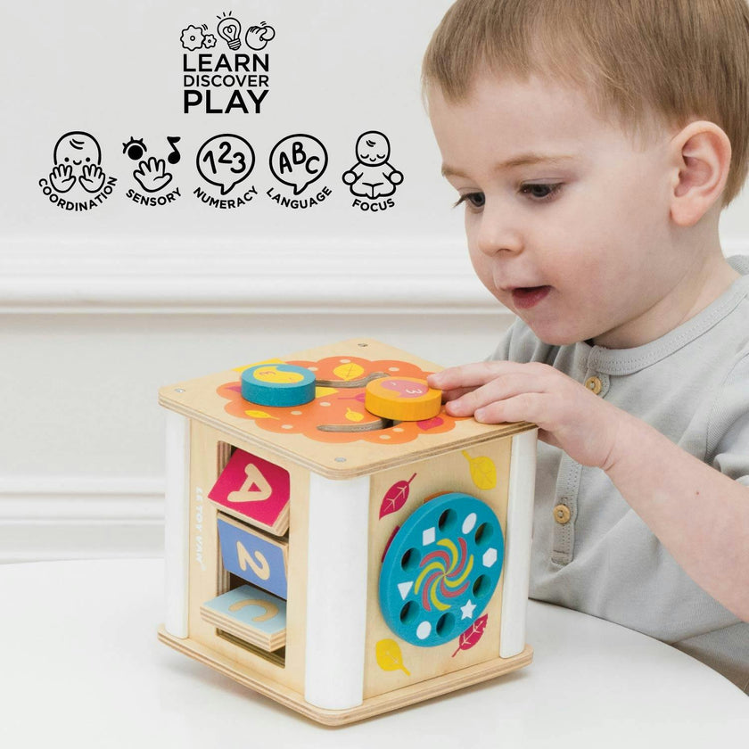 Petit Activity Cube