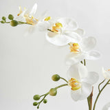 Artificial Orchid with Succulents