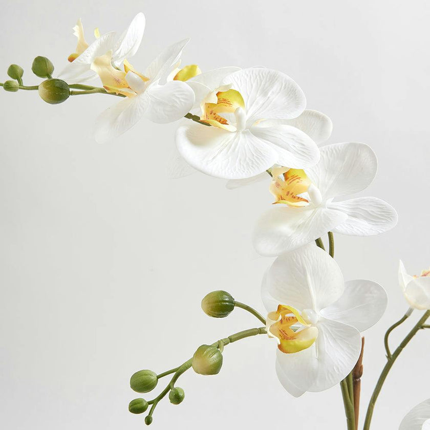 Artificial Orchid with Succulents