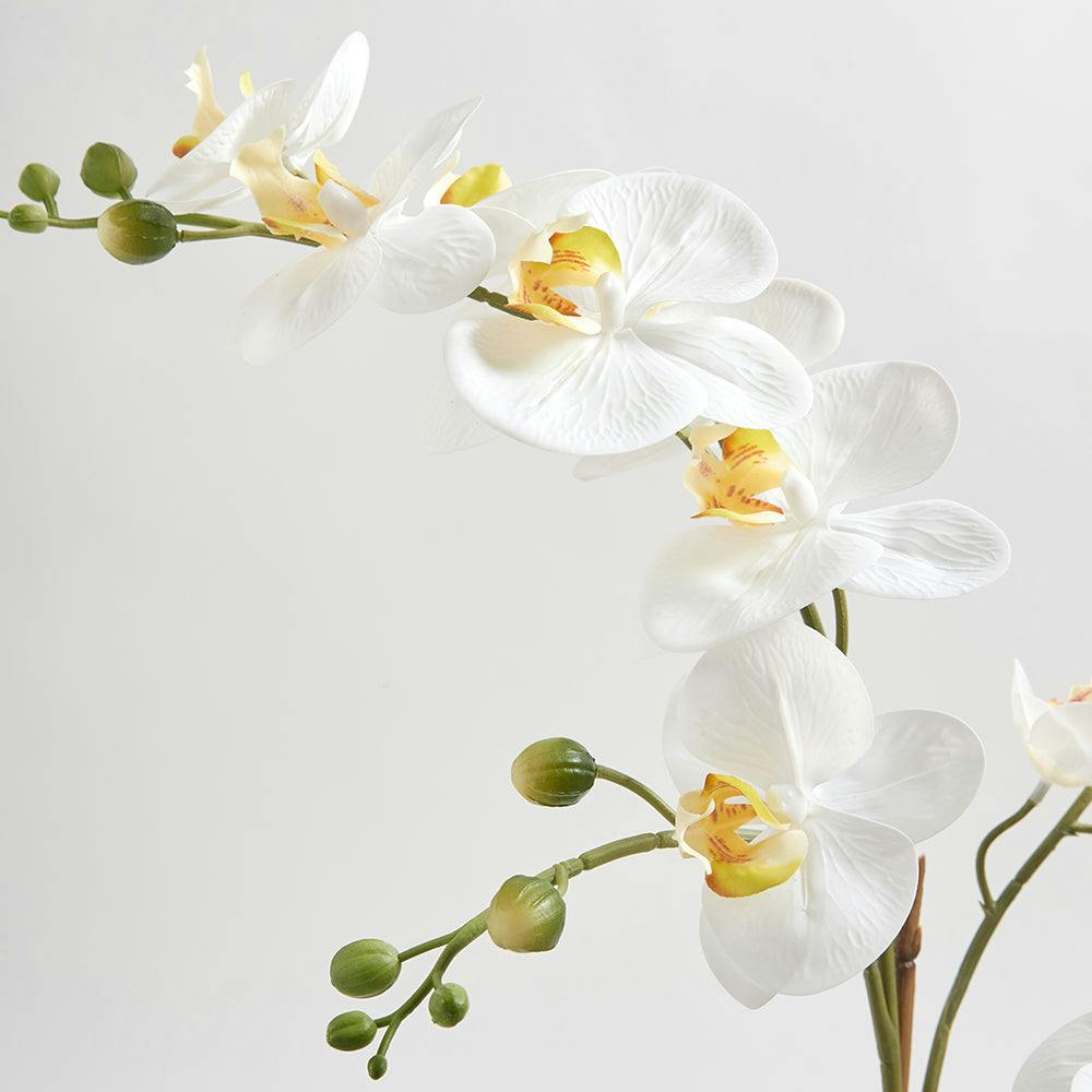 Artificial Orchid with Succulents