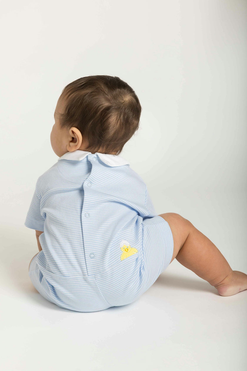 Stripe Knit Shortall With Chick