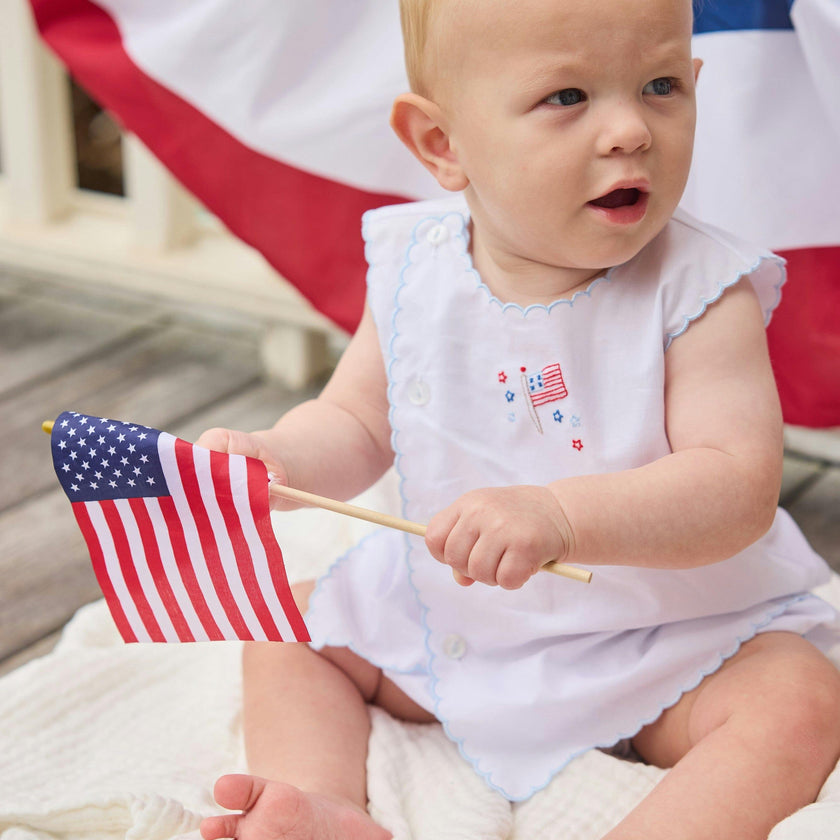 Davis Day Set - Flag