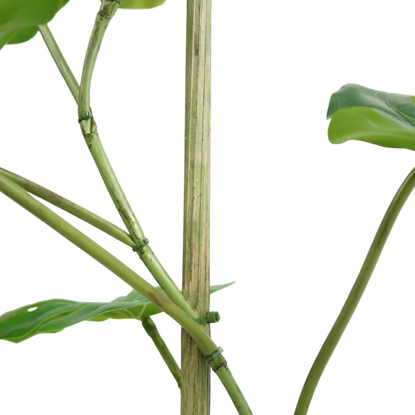 5' Artificial Monstera Tree