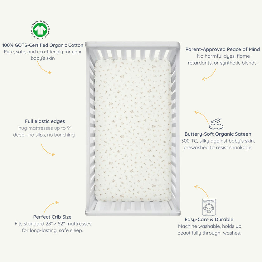 Organic Crib Sheet
