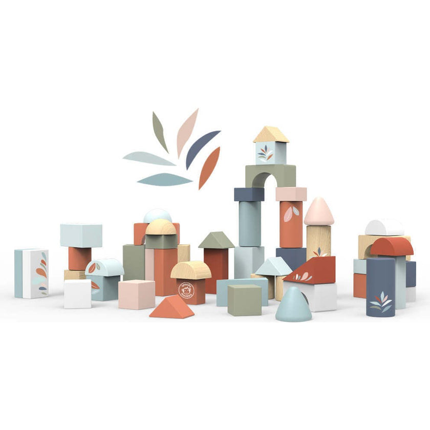 Building blocks (50 pieces)