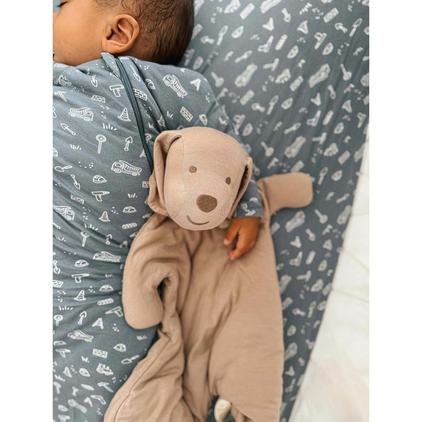 Long Sleeve Transitional Swaddle
