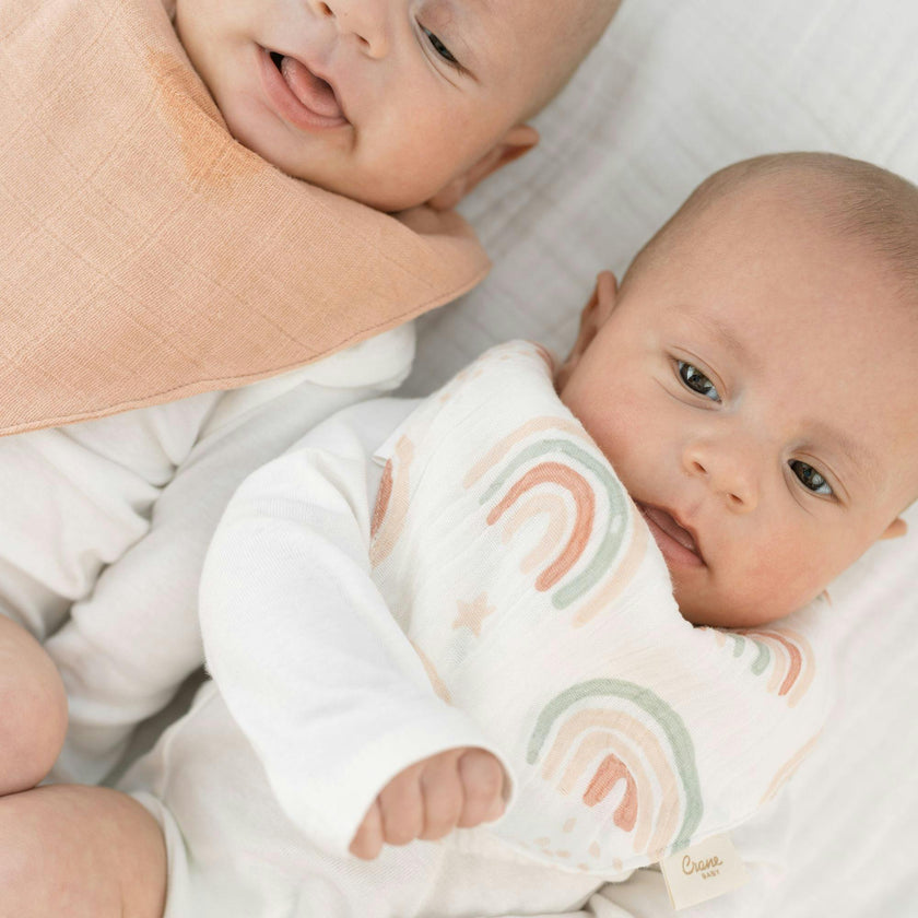 Parker Butterfly Cotton Bandana Baby Bib (3 Pack)