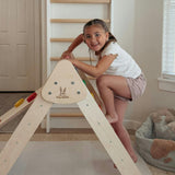 Classic Climber Playset