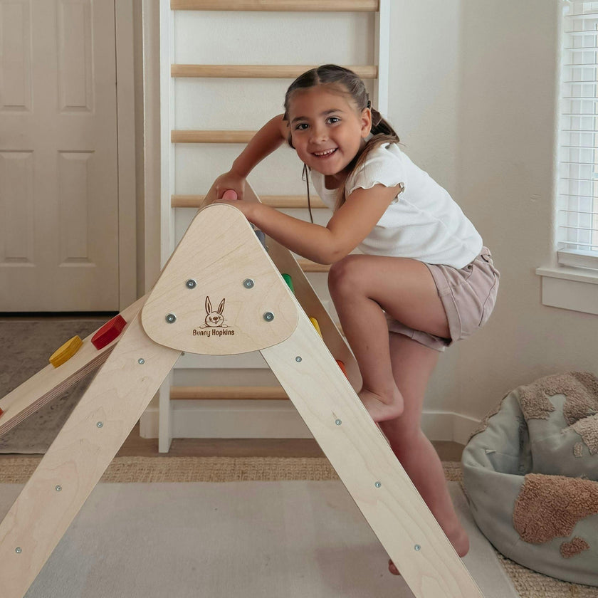 Classic Climber Playset
