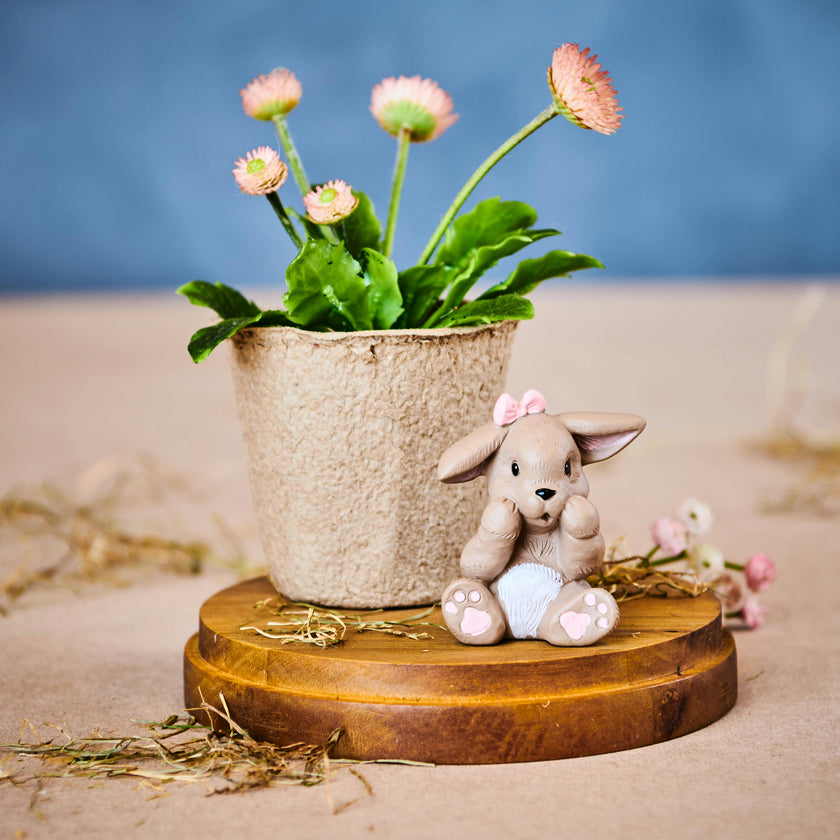 Bonnie Hare