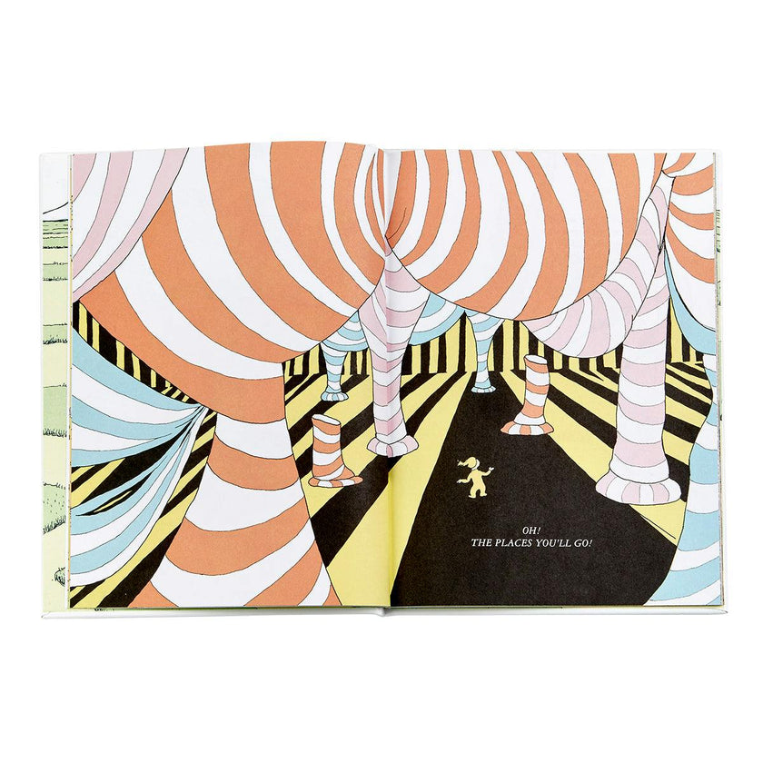 Oh The Places You'll Go! Leather Bound Classic Children's Book