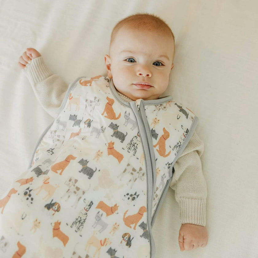 Sleep Bag - Rufus