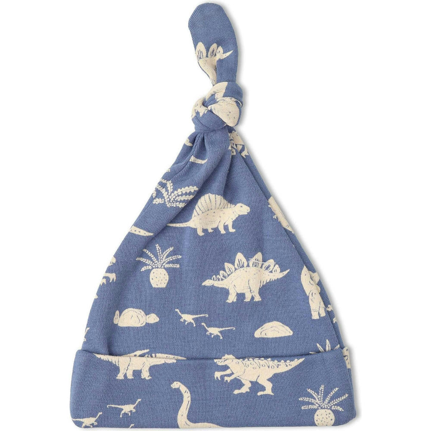 Organic Swaddle Blanket & Hat Set
