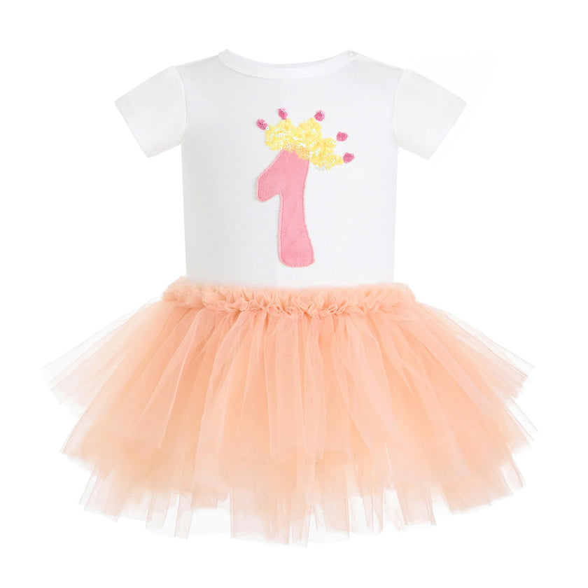 Peach Reina Birthday Dress