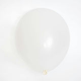Rainbow Balloon Arch Kit