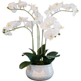 Artificial 4-Stem Phalaenopsis White Orchid