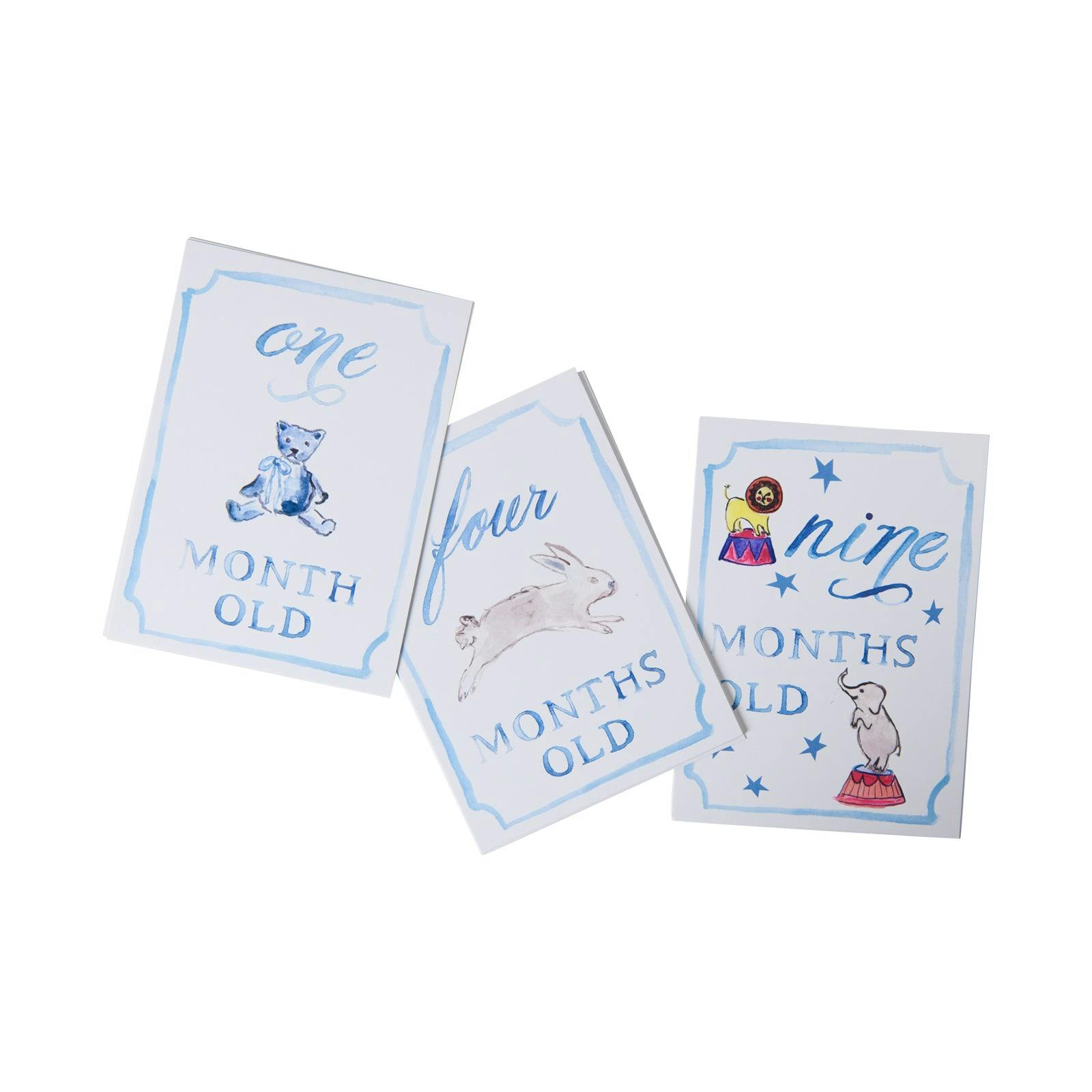 Monthly Milestone Card Set