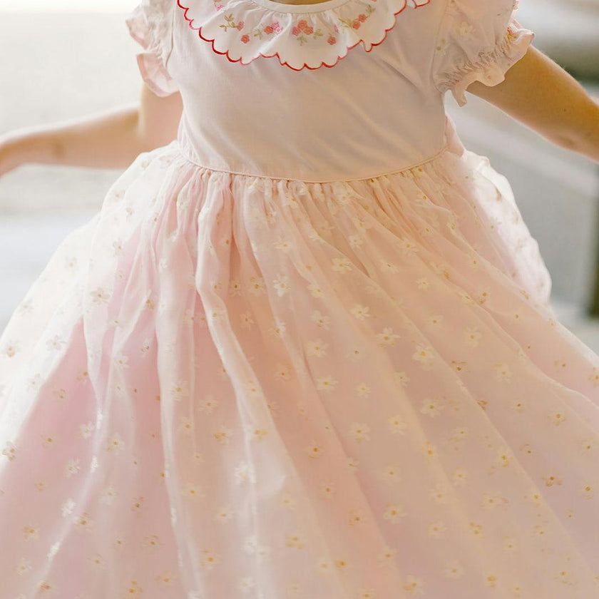 Cordelia Pink Dress with Tulle