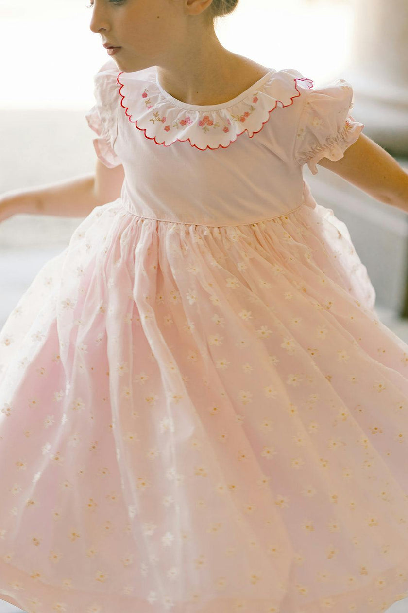 Cordelia Pink Dress with Tulle