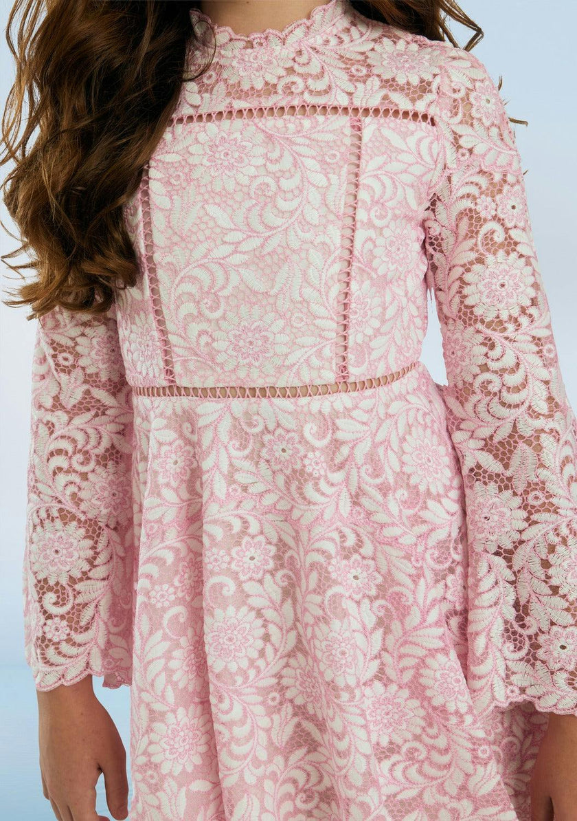 Primrose Embroidery Mini Dress