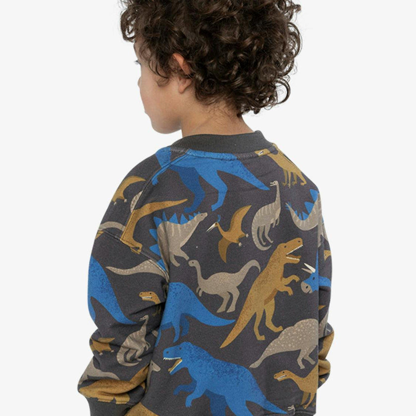 Fleece Sweatshirt Grey Dinosaur Print