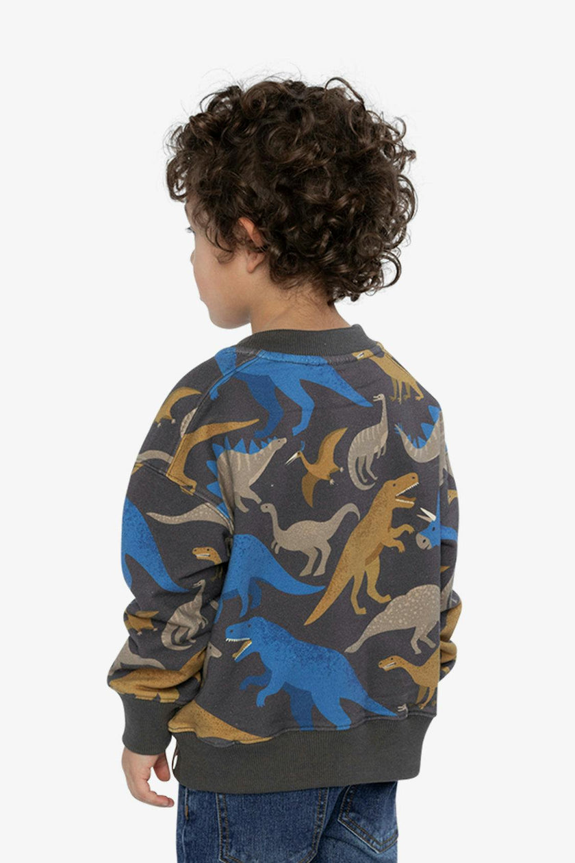 Fleece Sweatshirt Grey Dinosaur Print