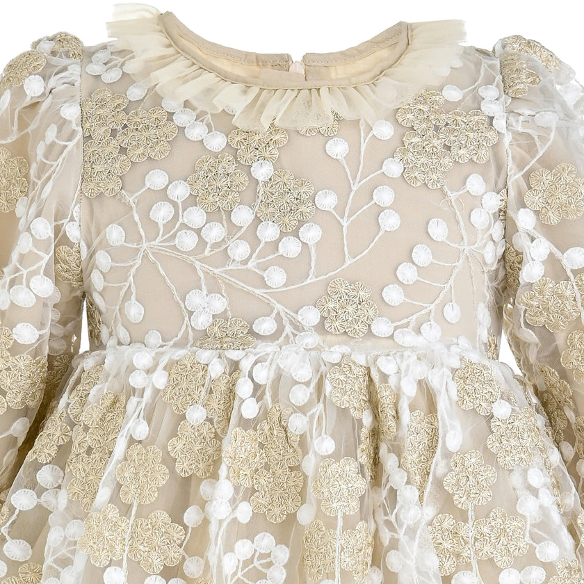 Champagne Floral Embroidered Dress