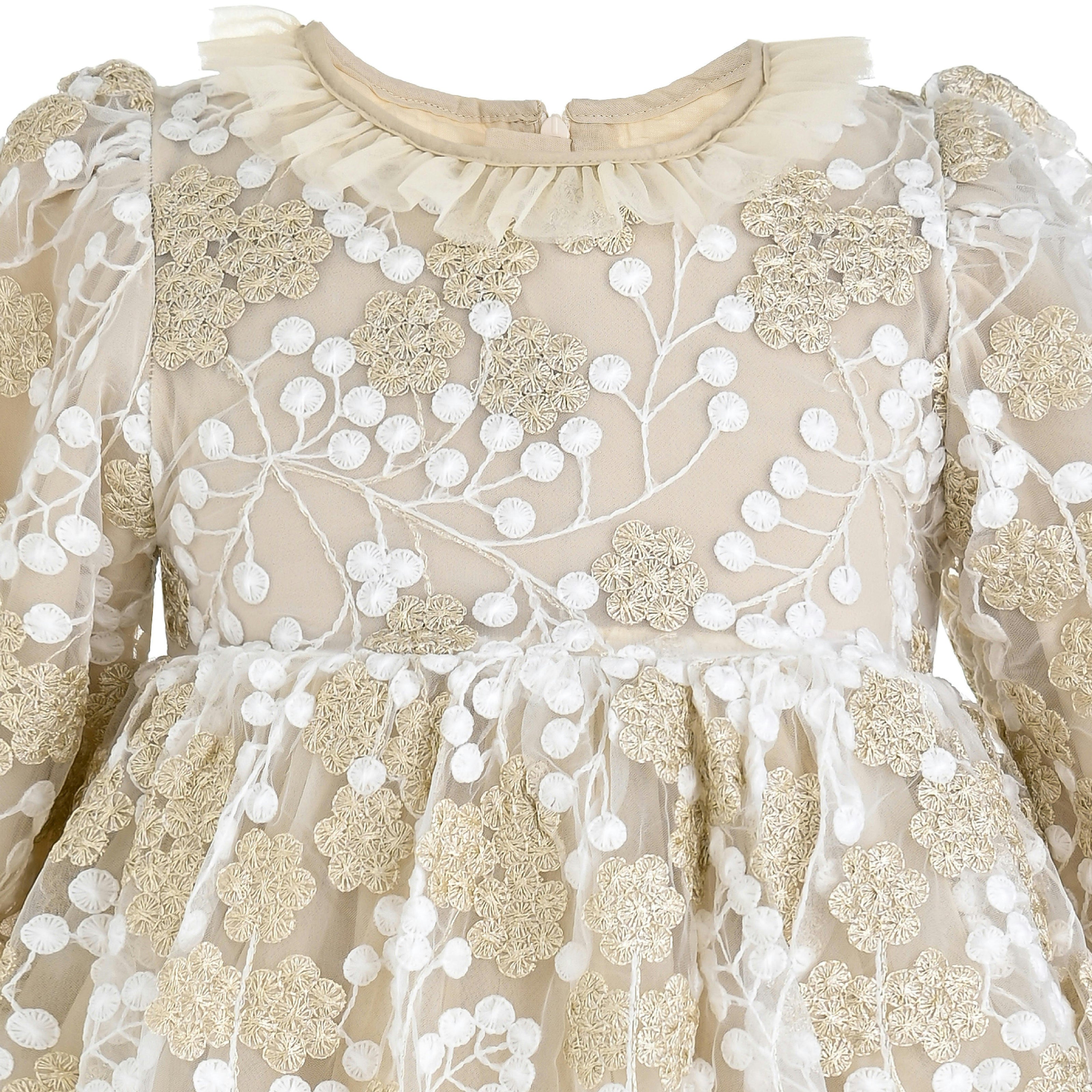 Champagne Floral Embroidered Dress