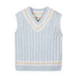 Organic Cricket Sweater Vest
