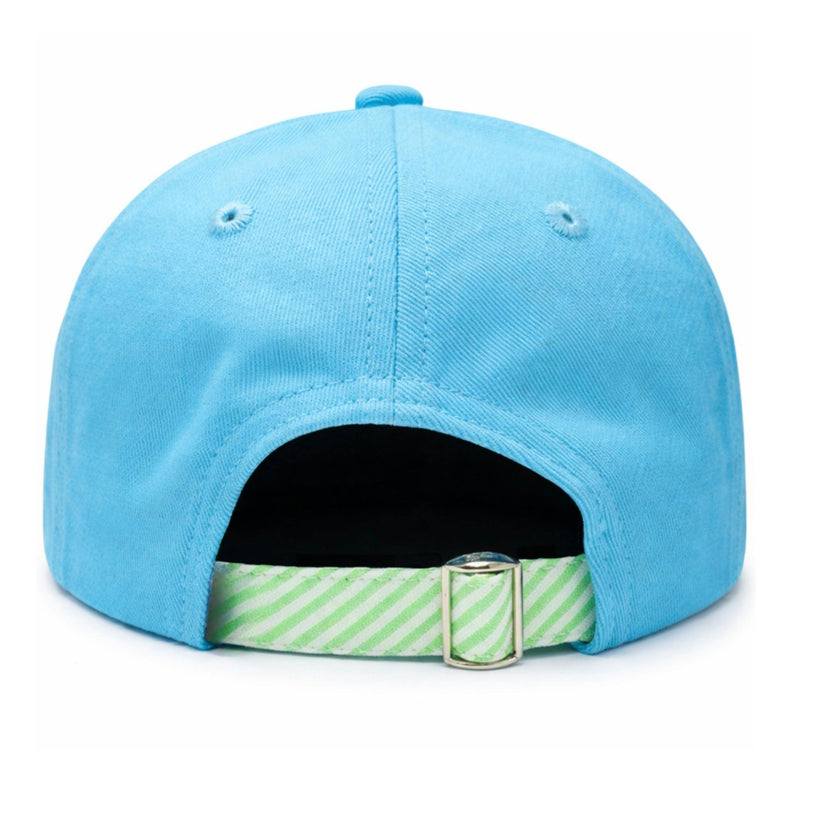 Turtle Baseball Hat