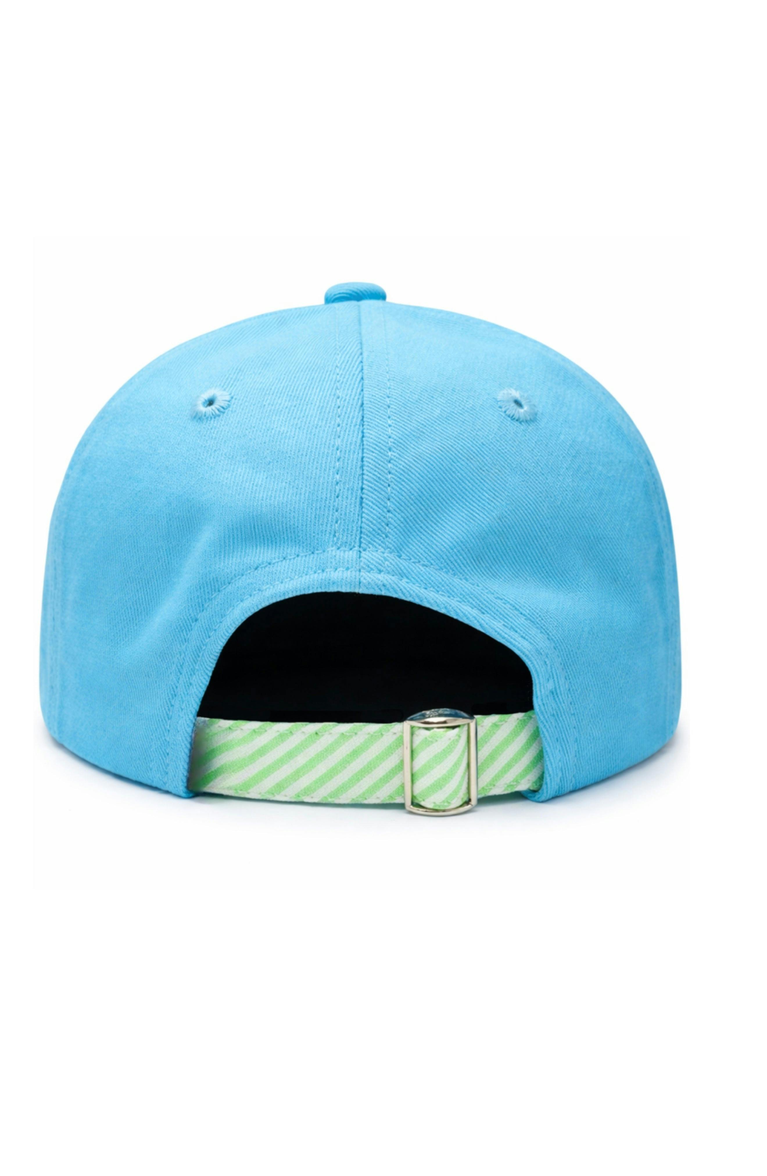 Turtle Baseball Hat