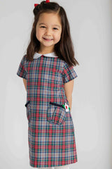 Plaid Dress with Pockets