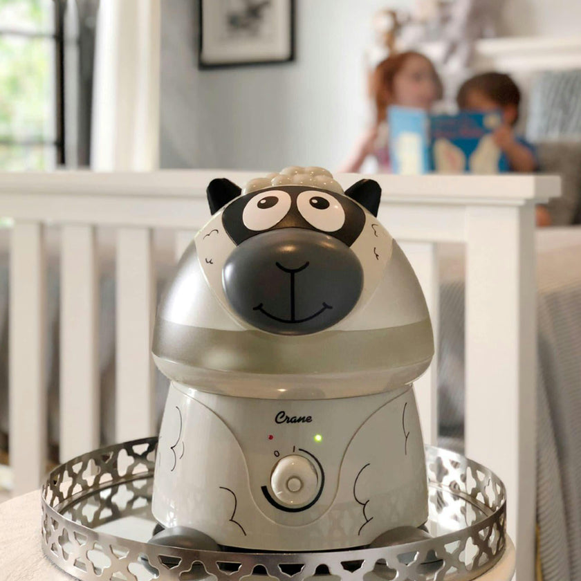 Adorable Ultrasonic Humidifier
