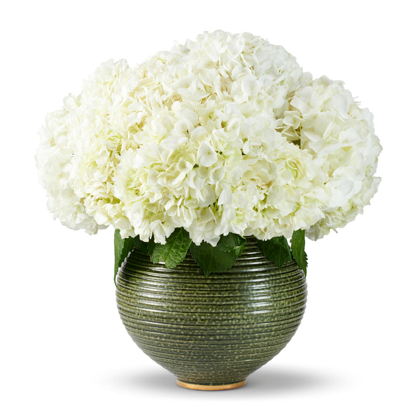Calinda Moon Vase