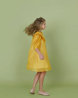 Avery dress (marigold organza)