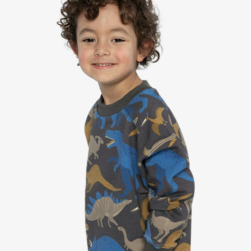 Fleece Sweatshirt Grey Dinosaur Print