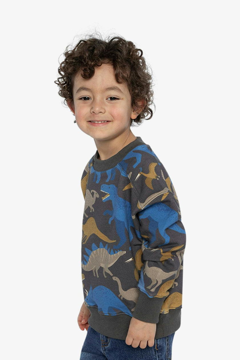 Fleece Sweatshirt Grey Dinosaur Print