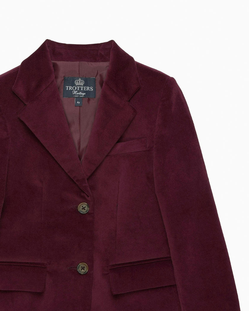 Hamish Velvet Blazer in Claret