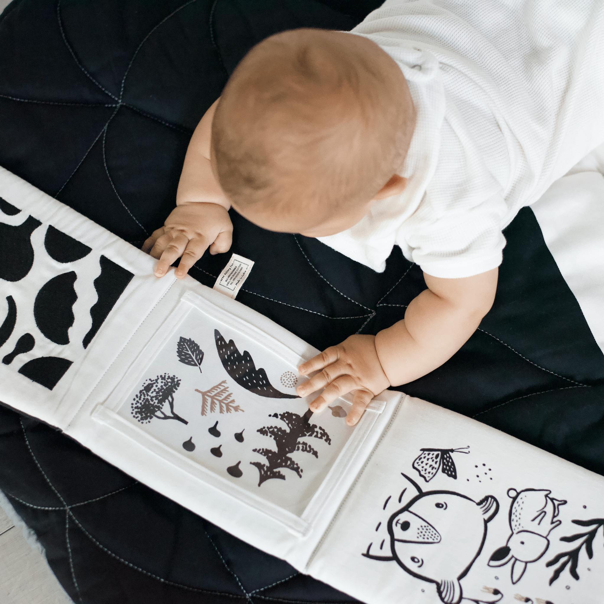 Developmental Bundle for Baby - Woodland