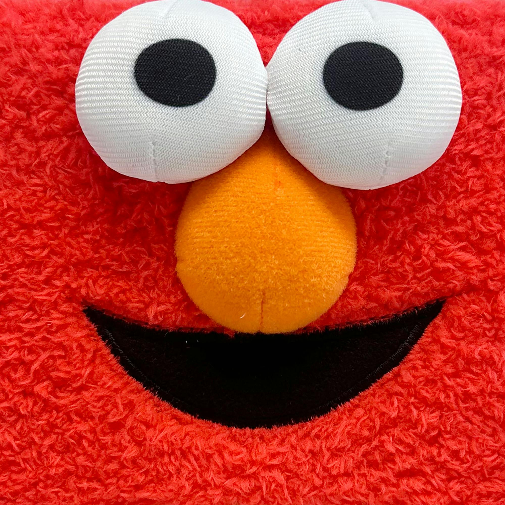 Sesame Street: Storables 12