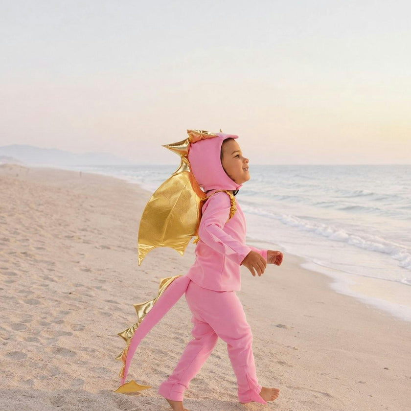 Pink Sky Dragon