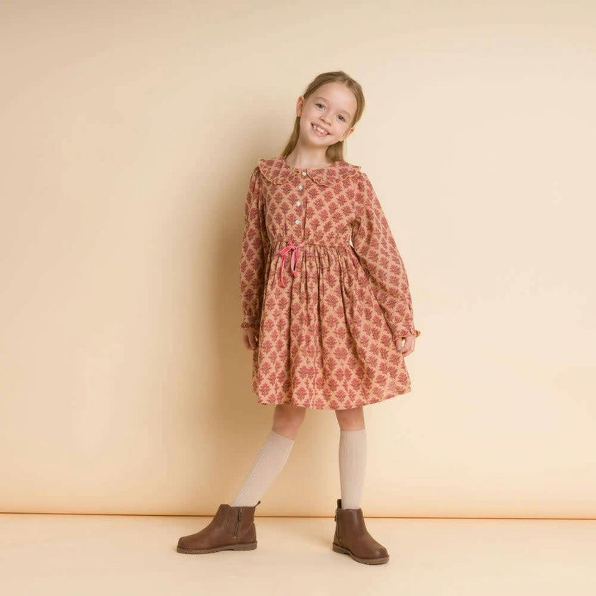 Long Sleeve Collar Dress with Velvet Tie