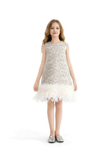 Silver Feathered Party Dress