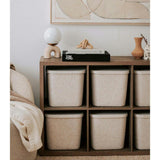The Sculpted Bin - Original with Lid